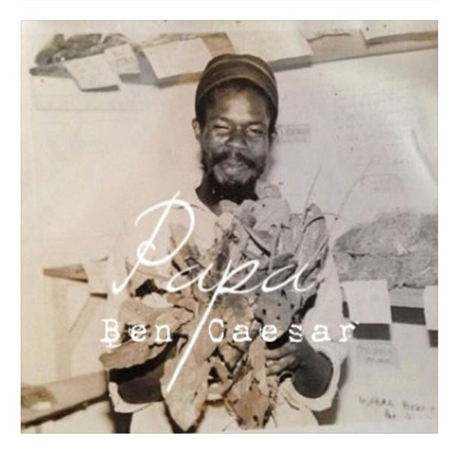 Papa cover art