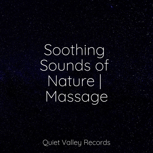 Soothing Sounds of Nature | Massage - Album by Música relaxante | Spotify
