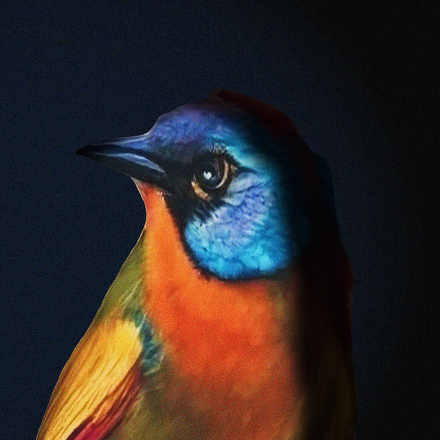 undefined album image