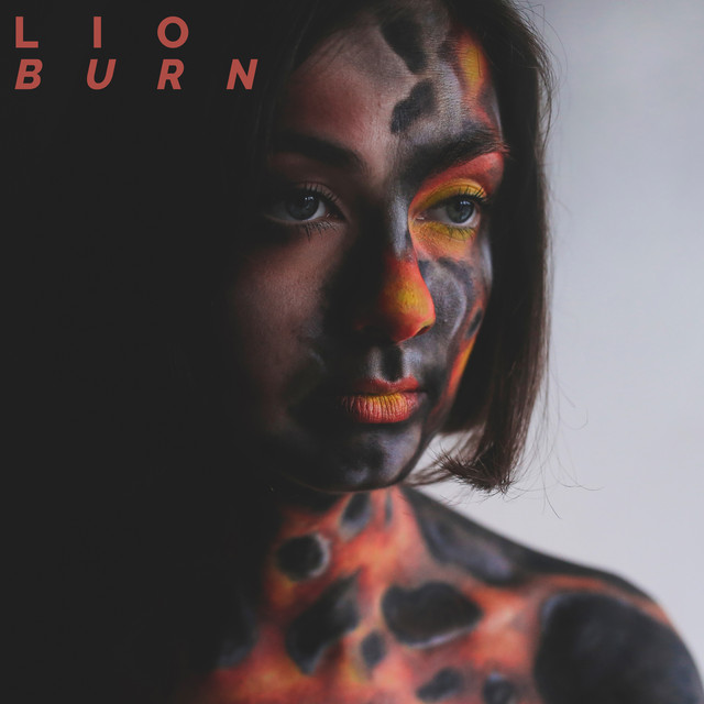 Burn cover art