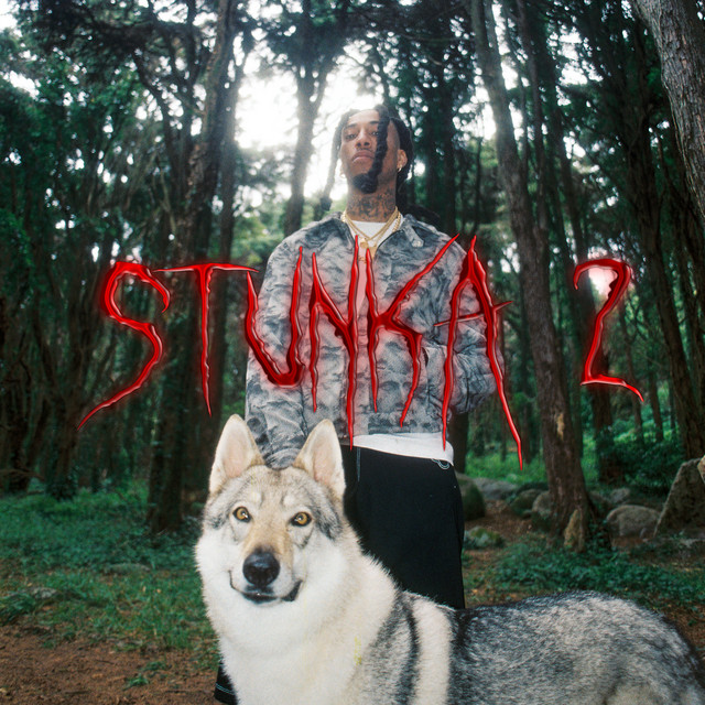 Stunka2 cover art