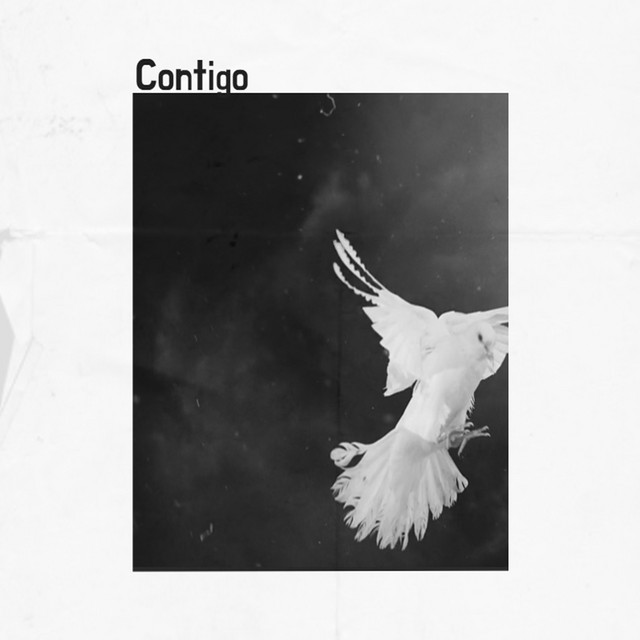 Contigo cover art