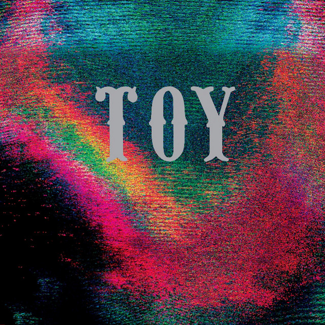TOY cover art