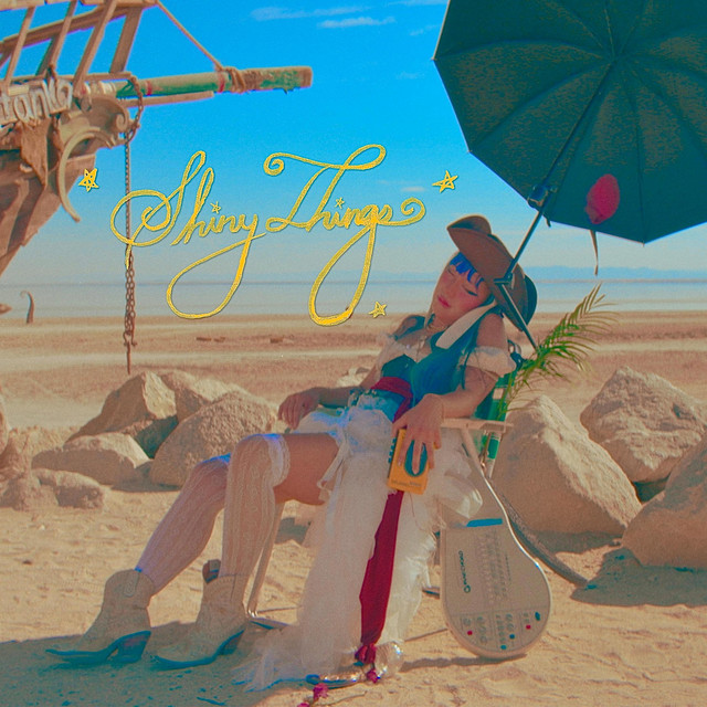 Shiny Things album image