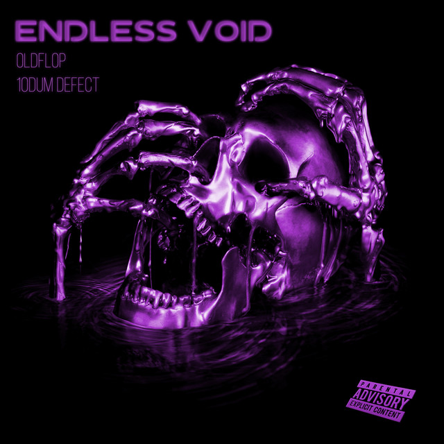 Endless Void cover art