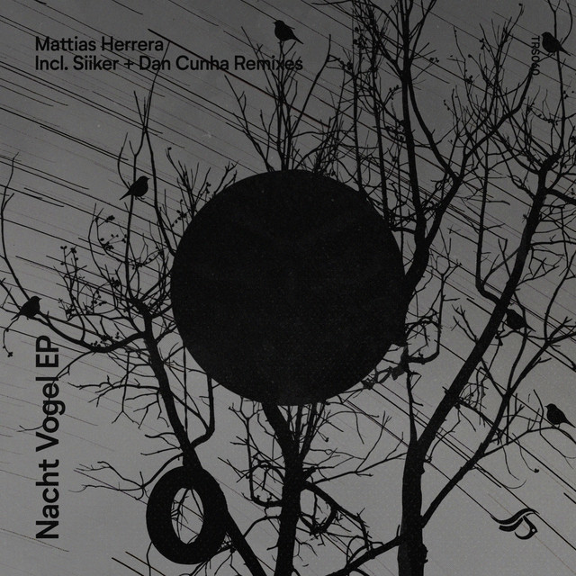 Nacht Vogel album art