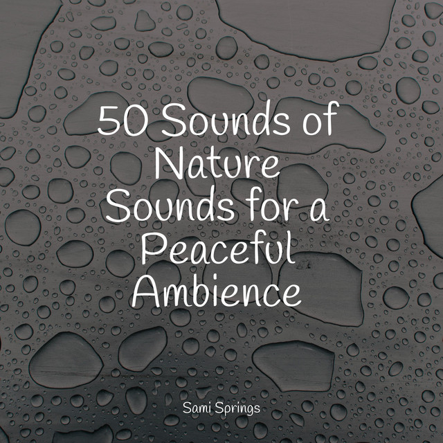 50 Sounds of Nature Sounds for a Peaceful Ambience - Album by ...
