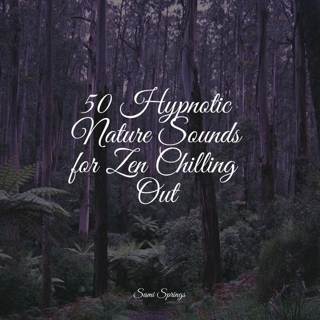 50 Hypnotic Nature Sounds for Zen Chilling Out - Album by Namaste Yoga ...