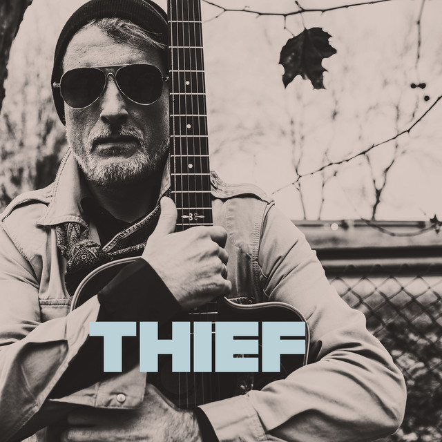 Thief cover