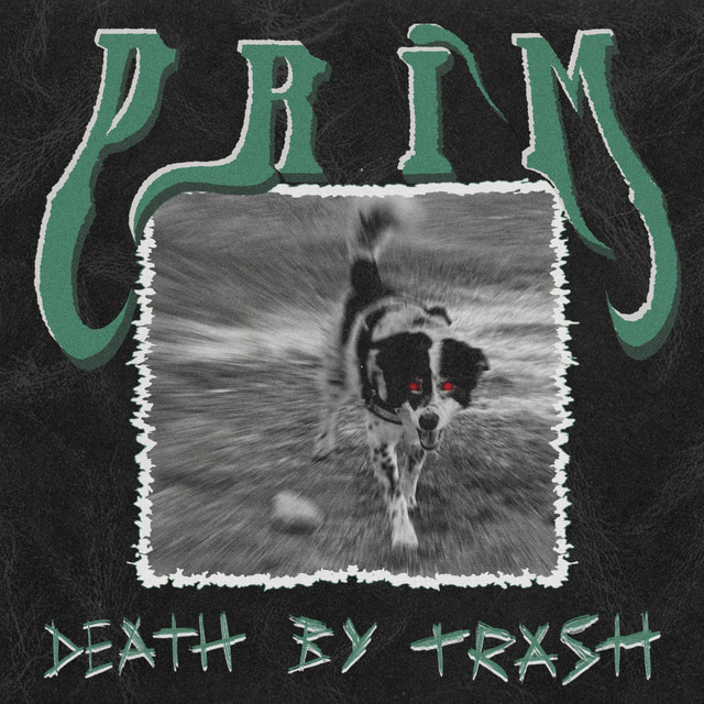 DEATH BY TRASH cover art