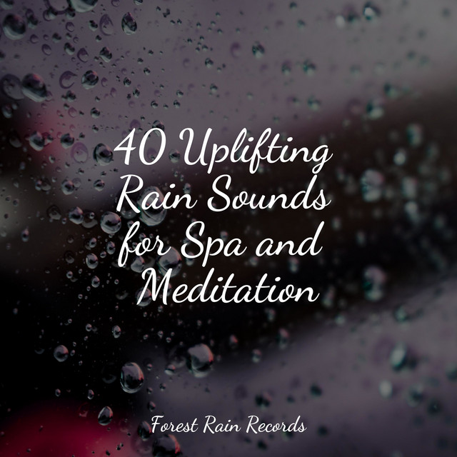 40 Uplifting Rain Sounds for Spa and Meditation - Album by Sleep ...