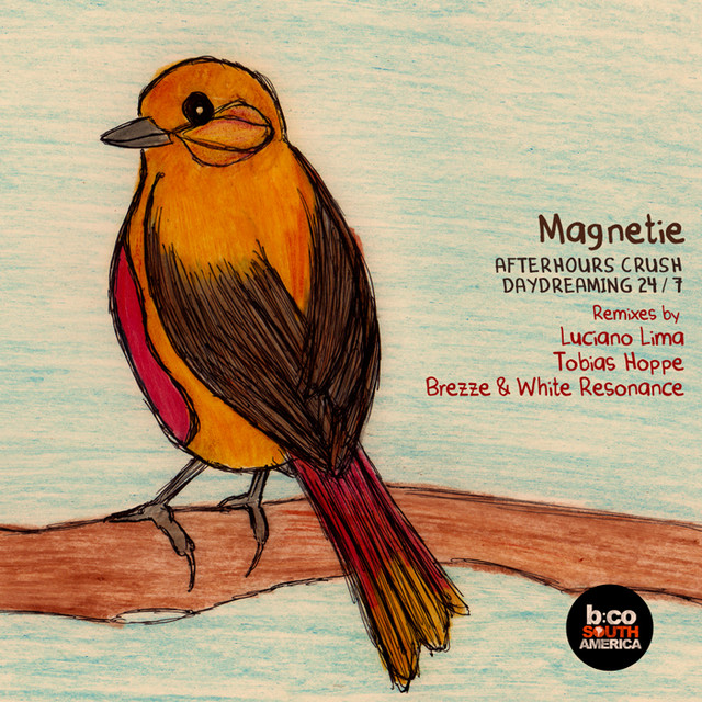 Magnetie
