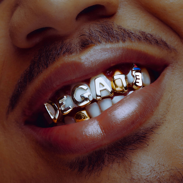 Dégât cover art