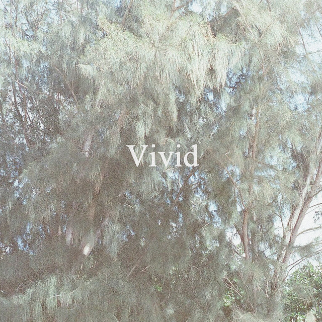 Vivid album image