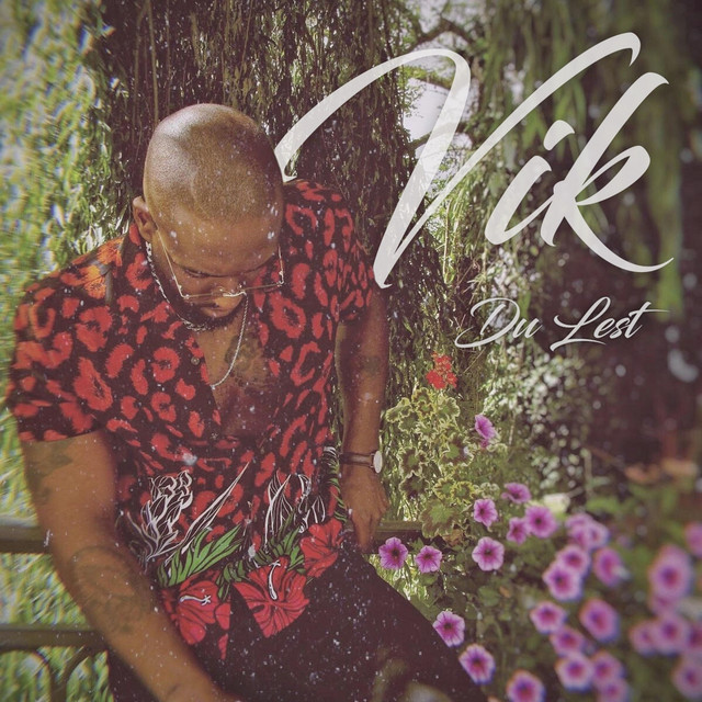 Du lest cover art
