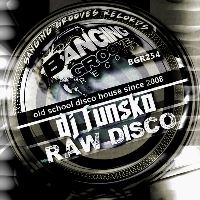 RAW DISCO cover