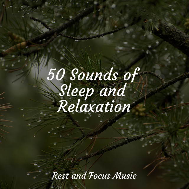 50 Sounds of Sleep and Relaxation - Album by Instrumental | Spotify