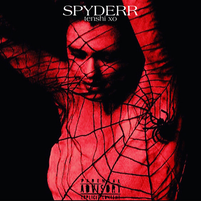SPYDERR cover art