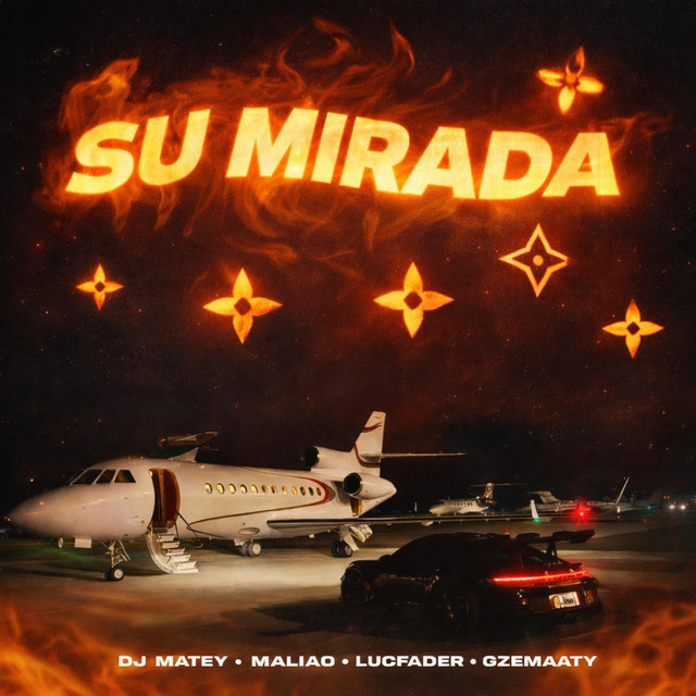SU MIRADA