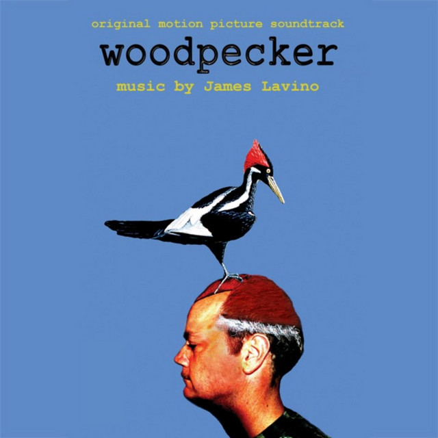 How to Look At a Bird cover art