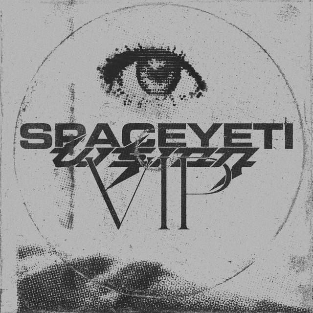 Vision (VIP) album art
