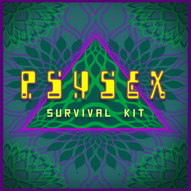 Survival Kit - Pick Remix cover art