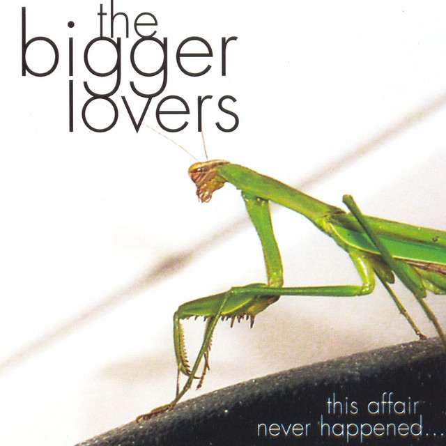 This Affair Never Happened... and Here Are 11 Songs About It cover