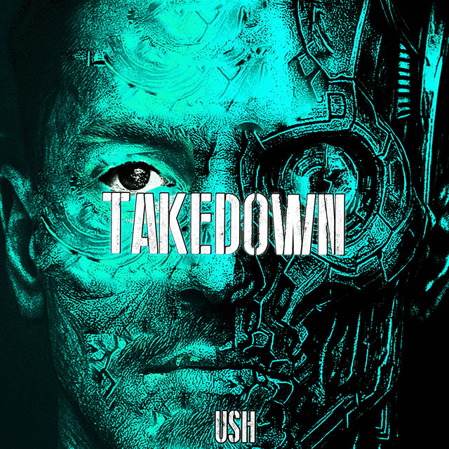 TAKEDOWN
