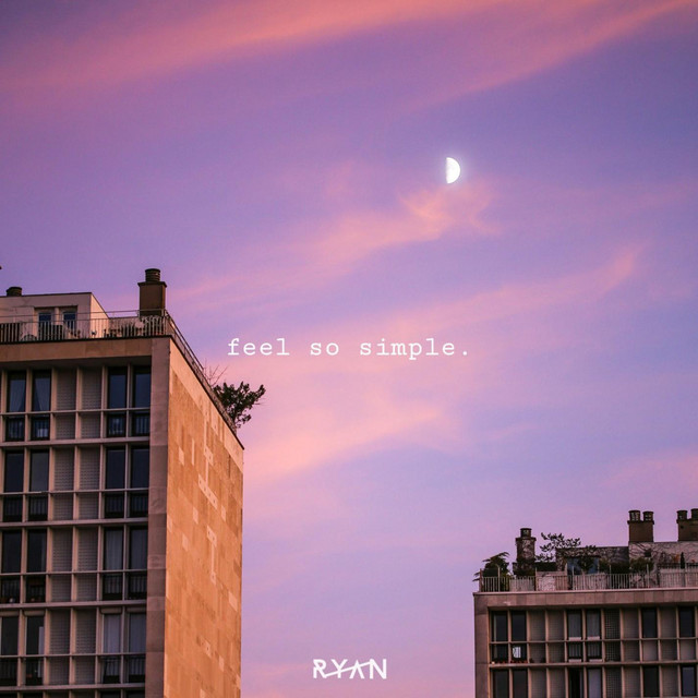 feel so simple cover art