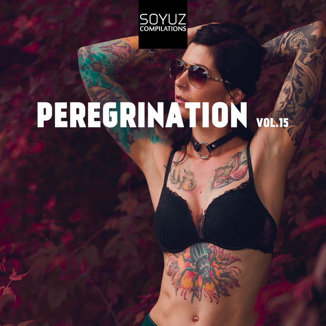 Peregrination, Vol. 15 cover art