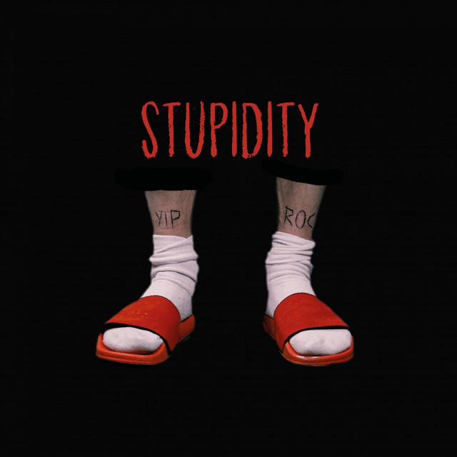 Stupidity cover