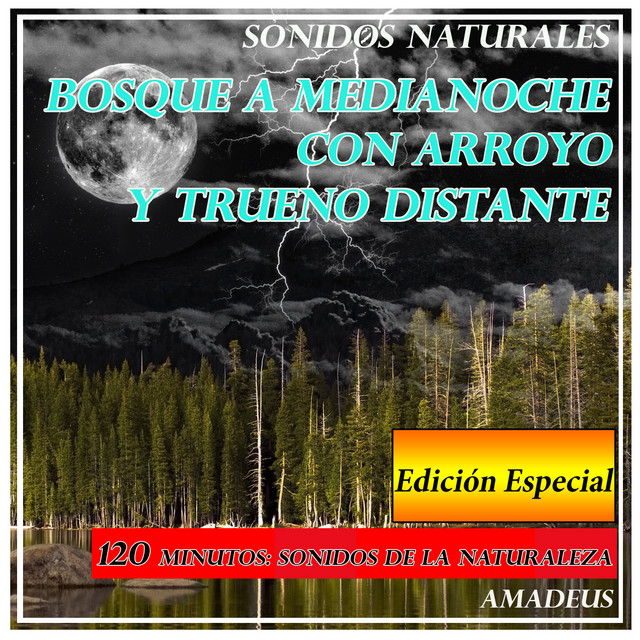 Bosque a Medianoche Con Arroyo y Trueno Distante: Sonidos Naturales: Edición Especial cover art