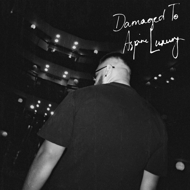 DAMAGED TO ASPIRE LUXURY cover art