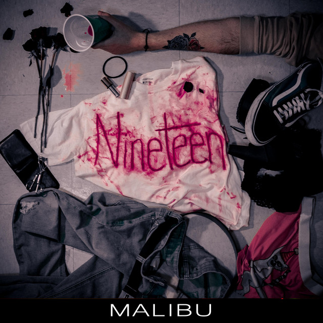 Nineteen cover art