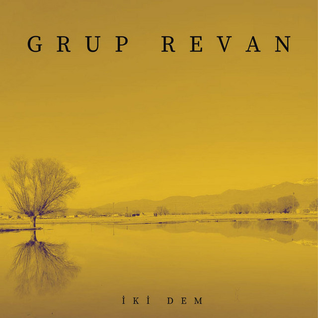 Grup Revan