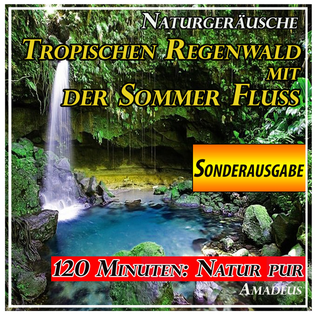 Tropischen Regenwald mit der Sommer Fluss: Naturgeräusche: Sonderausgabe cover art
