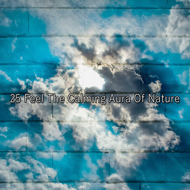 25 Feel The Calming Aura Of Nature - Album by Pet Care Music Therapy ...