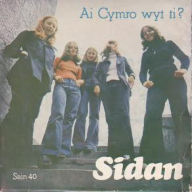 Ai Cymro Wyt Ti? cover
