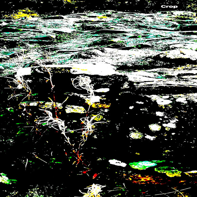 Vague Nation