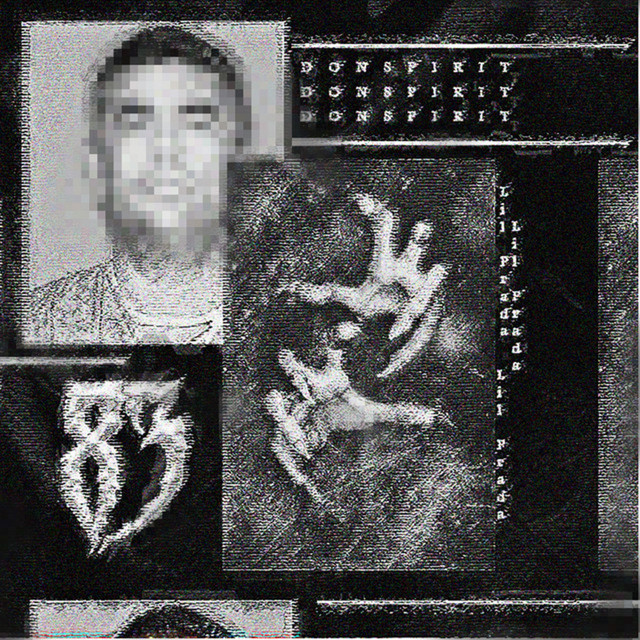 DONSPIRT cover art