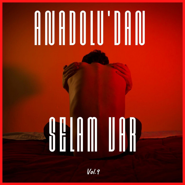 Anadolu'dan Selam Var, Vol. 9 cover art