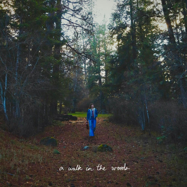 A Walk In The Woods