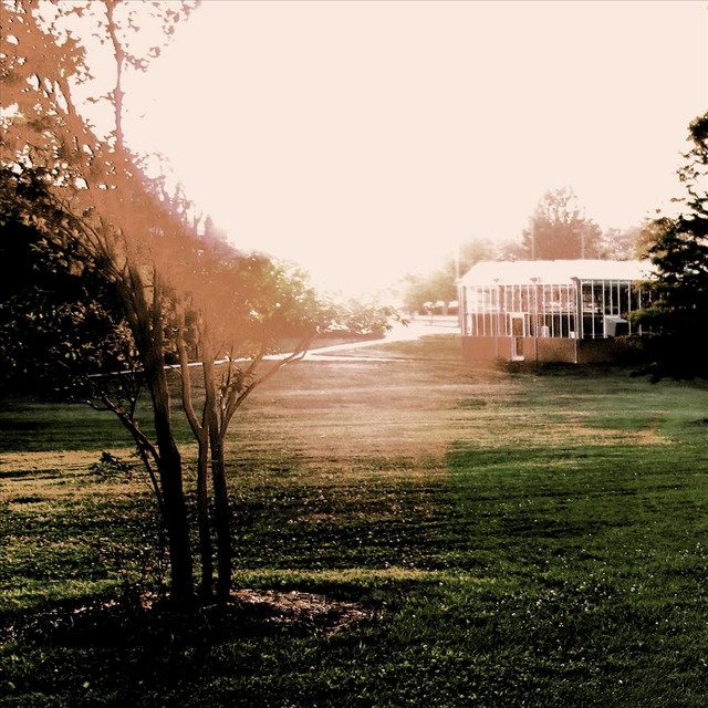 Antebellum cover art