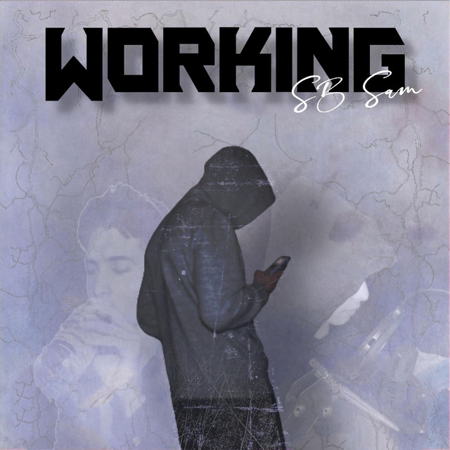 Working cover art