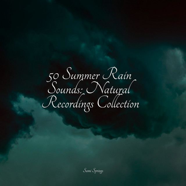 50 Serene Rain Sounds for Deep Sleep - Album by Ambiente | Spotify