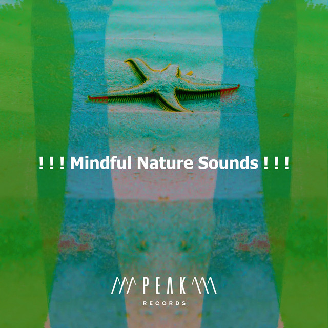 Mindful Nature Sounds ! ! ! - Album by Relaxing Music Therapy | Spotify