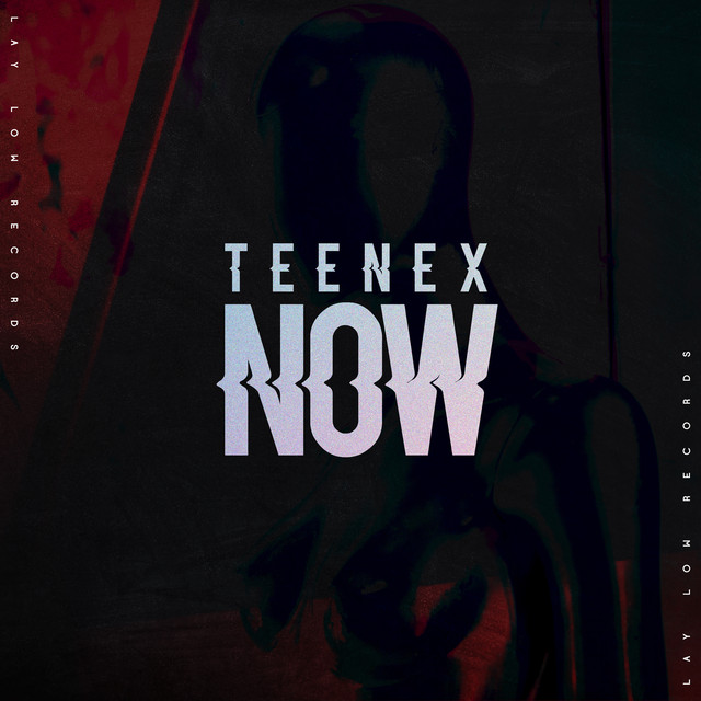 Обкладинка: Now — Teenex