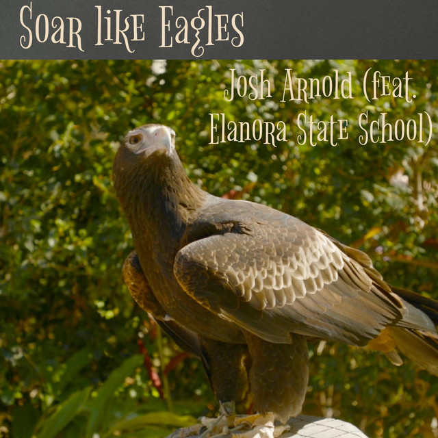 Soar like Eagles - Single by Josh Arnold | Spotify