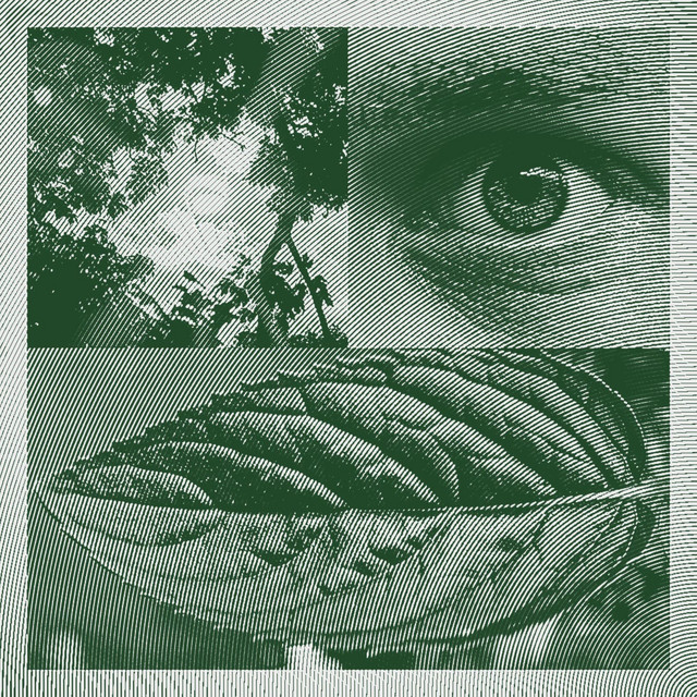 Sommergesichter cover