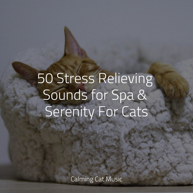 50 Stress Relieving Sounds for Spa & Serenity For Cats - Album by Music ...